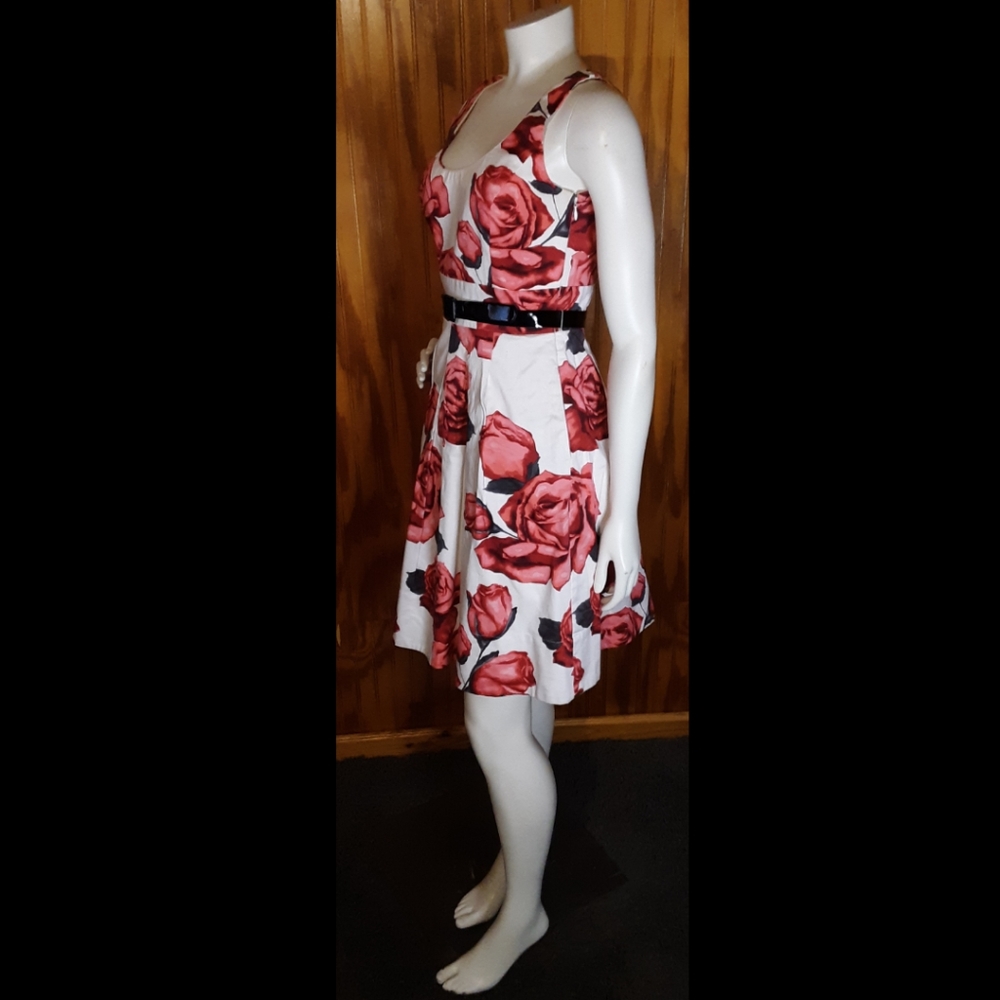 Rose Dress with belt by WHBM - Size 0